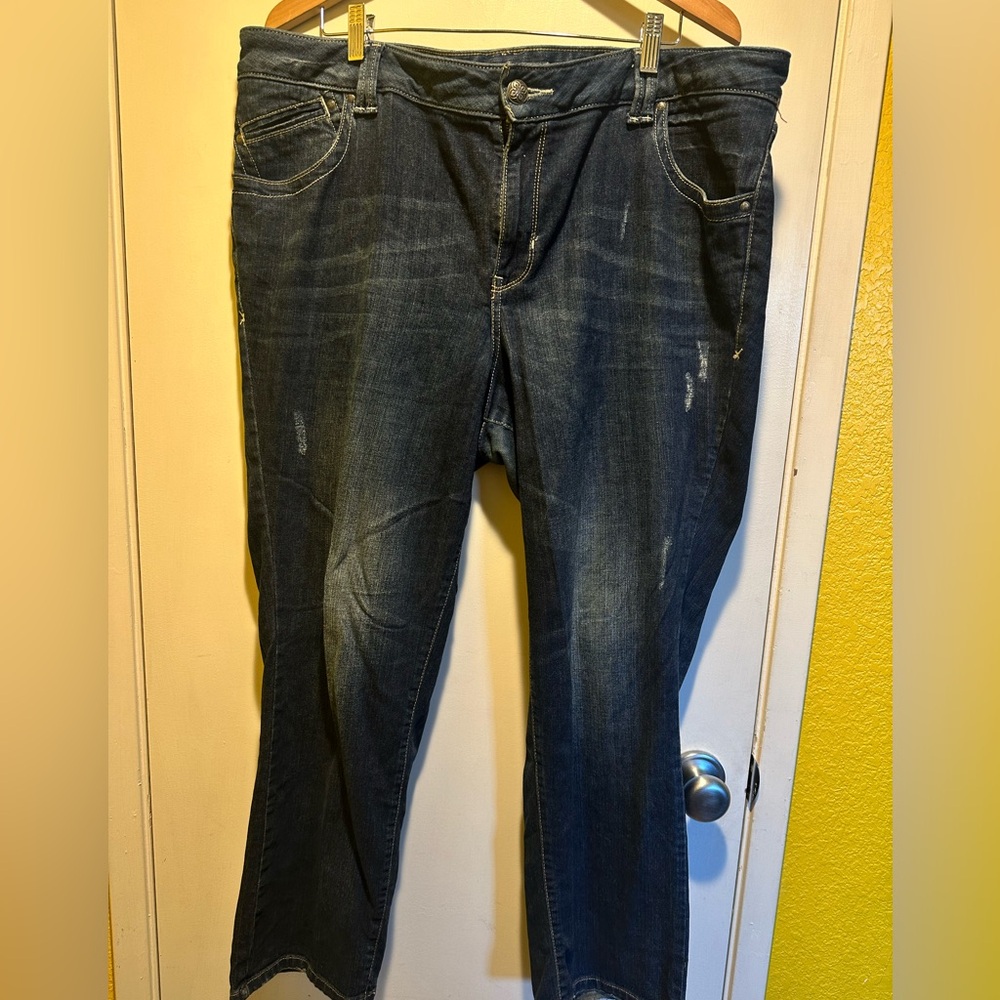 Lane Bryant Classic Blue Women's Jeans, Size 22